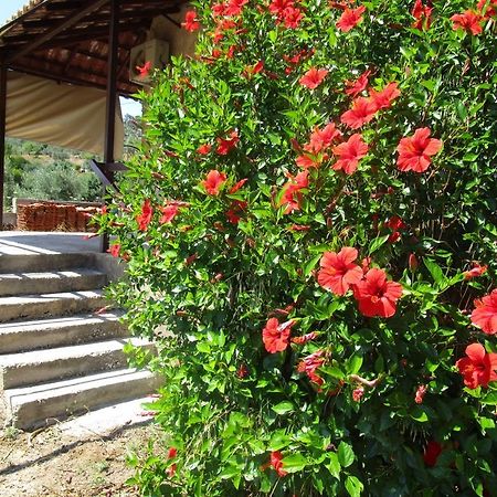Countryside House Guest House Perachora Екстериор снимка