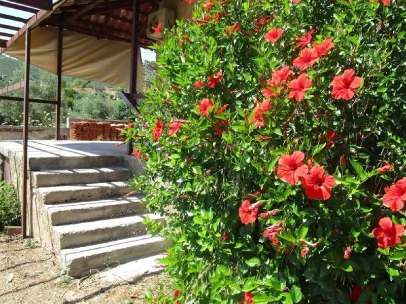 Countryside House Guest House Perachora Екстериор снимка